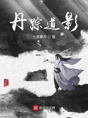 锈与骨剧情介绍