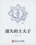 师娘艳史陆夫人剧情介绍