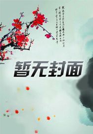 师洋剧情介绍