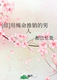 鹊桥仙陆游剧情介绍