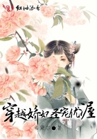 护士夏子的热情夏天剧情介绍