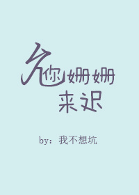 夫妇当面交换中文字幕小说剧情介绍