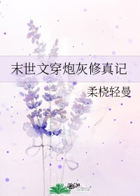 张小驴陈晓棠全文免费阅读剧情介绍