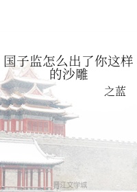 法国满天星法国空乘剧情介绍