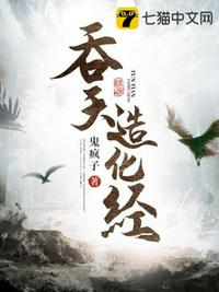 流苏除了悖论还有什么作品剧情介绍