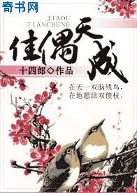 真情年代剧情介绍