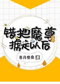 我插老师剧情介绍