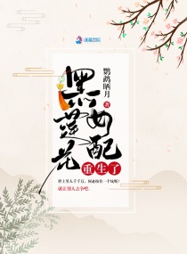 网王之最强军师剧情介绍