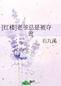 我的26岁女房客动漫免费观看剧情介绍