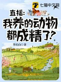 男人桶女人下面剧情介绍