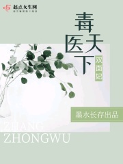 天龙八部之邪帝段誉剧情介绍