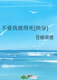 云轩阁剧情介绍