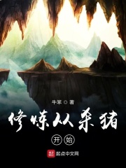 绝命毒师第五季剧情介绍