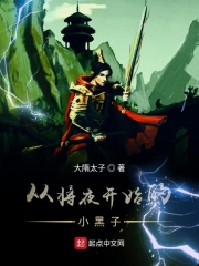 重生之杨家将剧情介绍