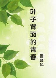 鸡窝网剧情介绍