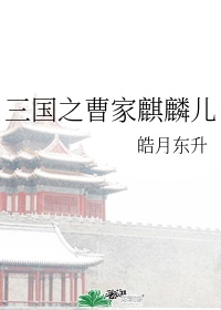 布衣图库剧情介绍