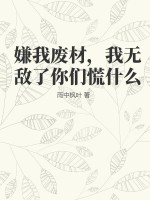 澳大小说网剧情介绍