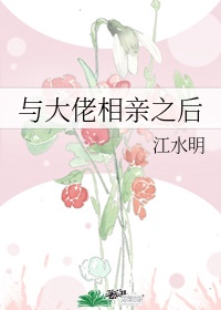 端庄女教师的沉沦唐枫剧情介绍