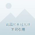 ponrhub.com剧情介绍