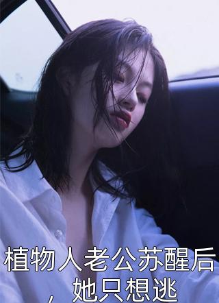 少年阿滨免费阅读剧情介绍