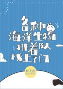 沈阳劳动公园50一次剧情介绍