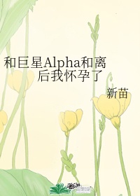 jalapsikixtori视频剧情介绍