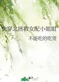 h小说短篇剧情介绍