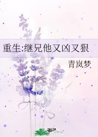 无障碍扶手剧情介绍