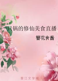 情深不负苏青全部章节剧情介绍