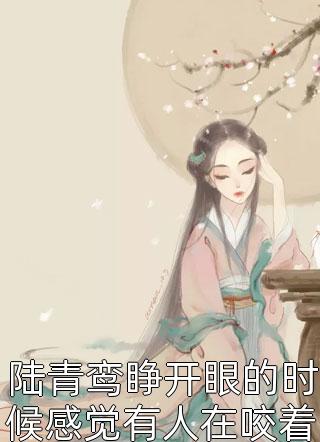 难缠小爱妾剧情介绍