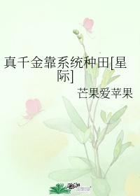 无罩看奶剧情介绍