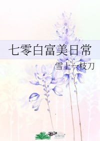 变装网站剧情介绍