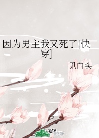 www.xiao2b.cn剧情介绍