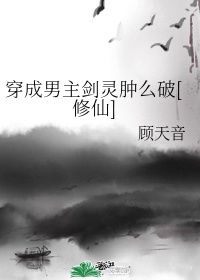 插抽剧情介绍