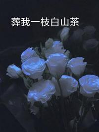 九七视频手机在线播放剧情介绍