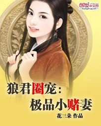 肉妇岳乱小说剧情介绍