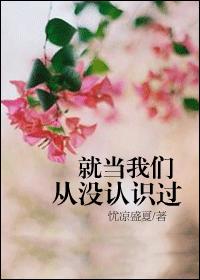 守护甜心第一季剧情介绍