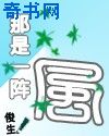 夫目前犯系列剧情介绍