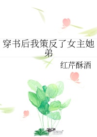 吴世勋与你的师生play剧情介绍