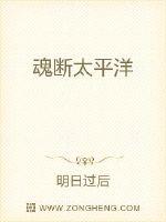 文枫柔佳全文未删小说剧情介绍