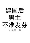 美丽的他 小说剧情介绍