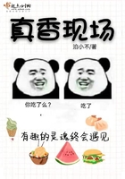 紫豆剧情介绍