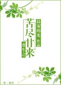 火灭小说剧情介绍