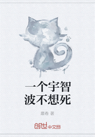 坠落的女律师剧情介绍