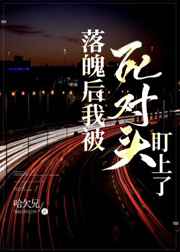 83版大侠霍元甲1一20集全集免费剧情介绍