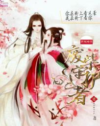 陀枪师姐4粤语剧情介绍