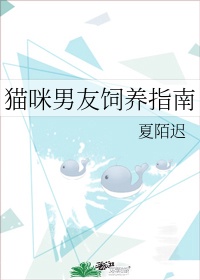 狼性总裁要够了没免费阅读全文剧情介绍