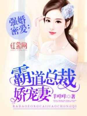 闪婚老公太凶猛小说剧情介绍