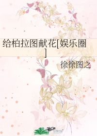 将军夫人又跑了剧情介绍