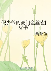 桃花岛永久网站入口剧情介绍